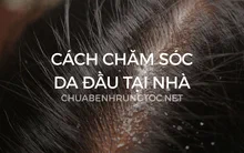 Chăm sóc da đầu tại nhà hiệu quả | Cẩm nang từ A đến Z