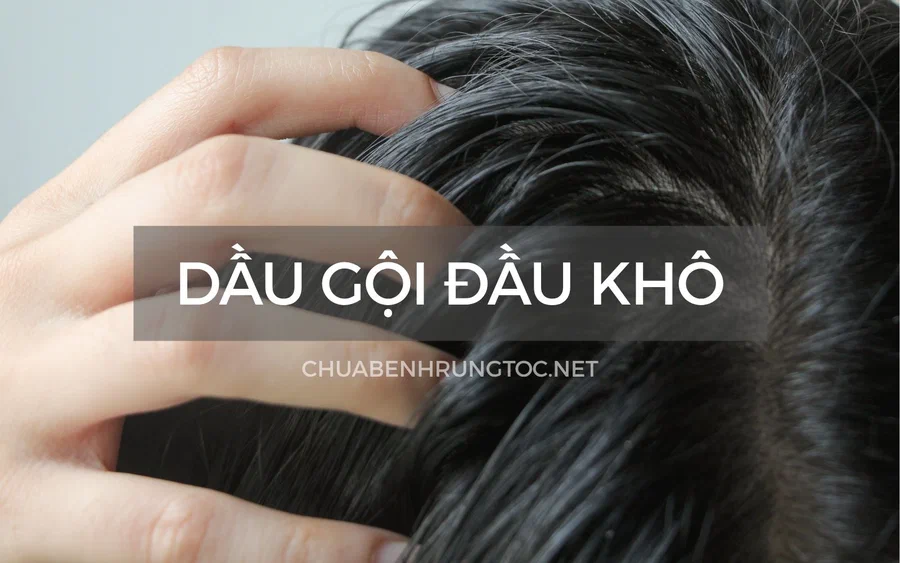 Dầu Gội Đầu Khô Là Gì? Top 10 Loại Dầu Gội Khô "Hot" Nhất Trên Thị Trường!