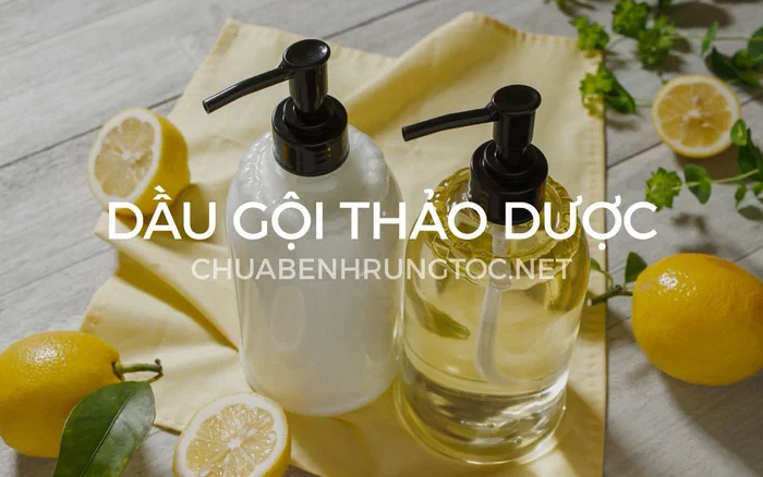 Review top 10 loại dầu gội thảo dược thơm lâu
