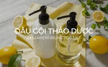 Review top 10 loại dầu gội thảo dược thơm lâu