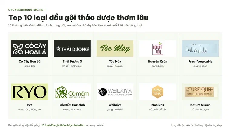 Logo 10 thương hiệu trong top 10 loại dầu gội thảo dược thơm lâu