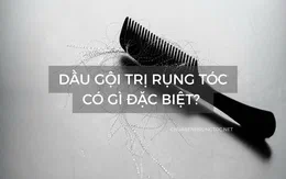 Dầu gội trị rụng tóc có gì đặc biệt? 10 loại phổ biến và sự thật về hiệu quả