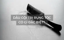 Dầu gội trị rụng tóc có gì đặc biệt? 10 loại phổ biến và sự thật về hiệu quả