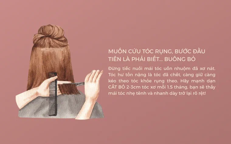 Cắt phần tóc xơ rối định kỳ khi chăm sóc tóc rụng tại nhà