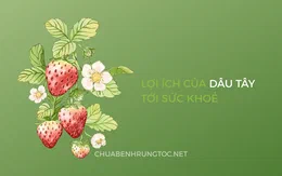 Tác dụng của dâu tây với sức khỏe, tóc và da đầu