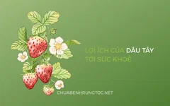 Tác dụng của dâu tây với sức khỏe, tóc và da đầu