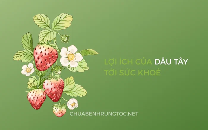 Tác dụng của dâu tây với sức khỏe, tóc và da đầu