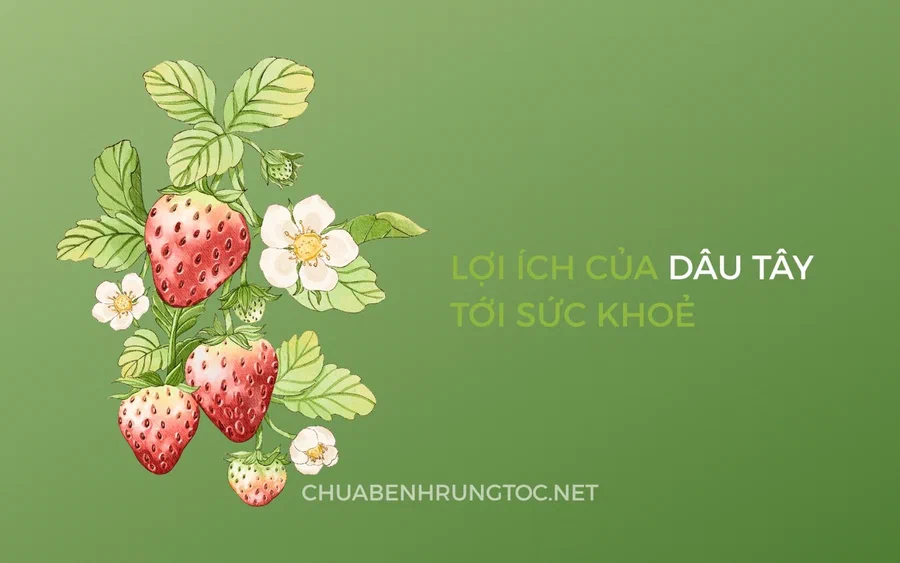 Tác dụng của dâu tây với sức khỏe, tóc và da đầu