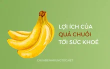 Quả chuối là gì? Tổng quan và tác dụng của quả chuối