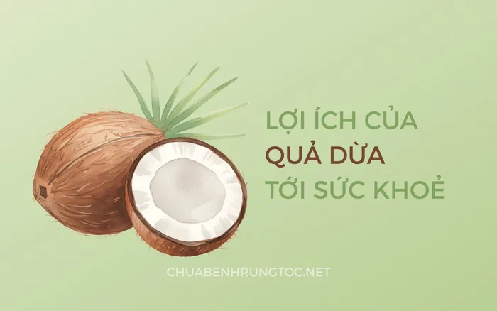 Tác dụng của quả dừa với sức khỏe, tóc và da đầu