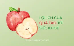 Tác dụng của quả táo với sức khỏe, tóc và da đầu